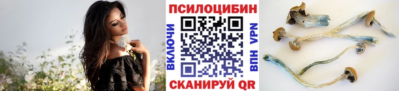 что такое наркотик  Лермонтов  Галлюциногенные грибы ЛСД 